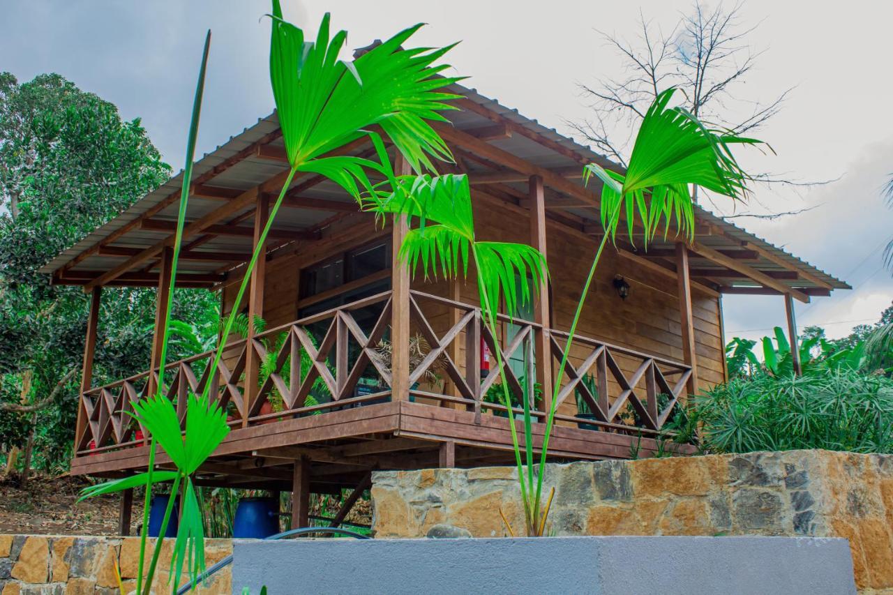 Eden Valley Ecolodge And Farming Madalena Екстер'єр фото