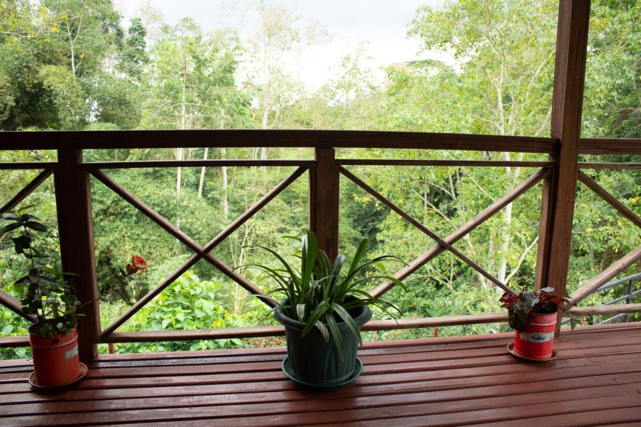 Eden Valley Ecolodge And Farming Madalena Екстер'єр фото