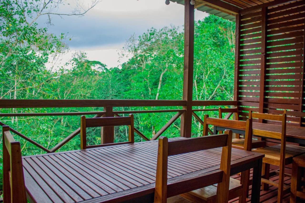 Eden Valley Ecolodge And Farming Madalena Екстер'єр фото
