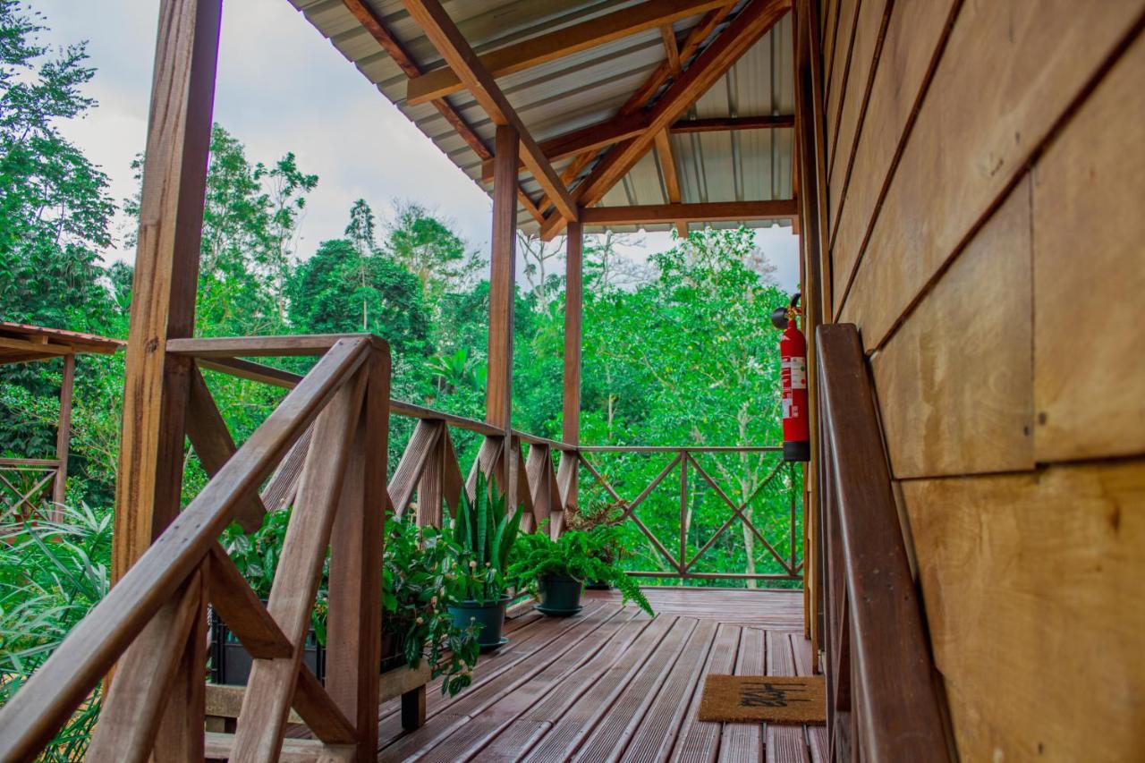 Eden Valley Ecolodge And Farming Madalena Екстер'єр фото