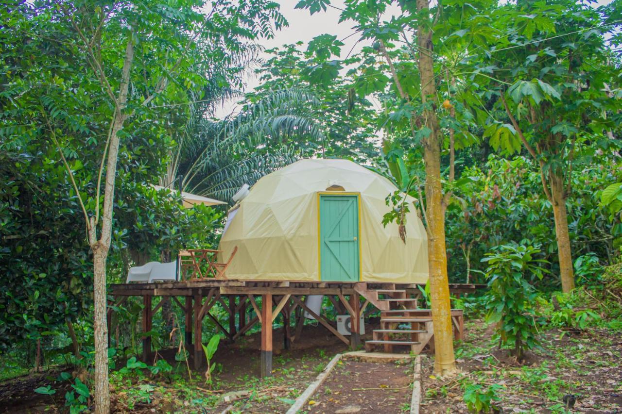 Eden Valley Ecolodge And Farming Madalena Екстер'єр фото