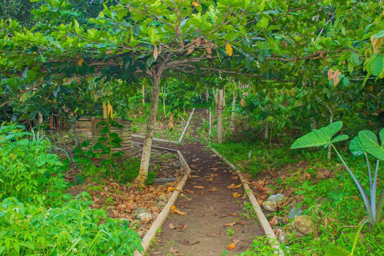 Eden Valley Ecolodge And Farming Madalena Екстер'єр фото