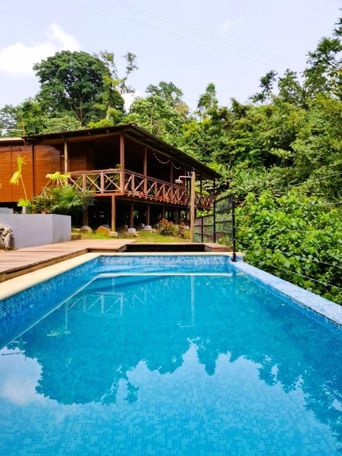 Eden Valley Ecolodge And Farming Madalena Екстер'єр фото