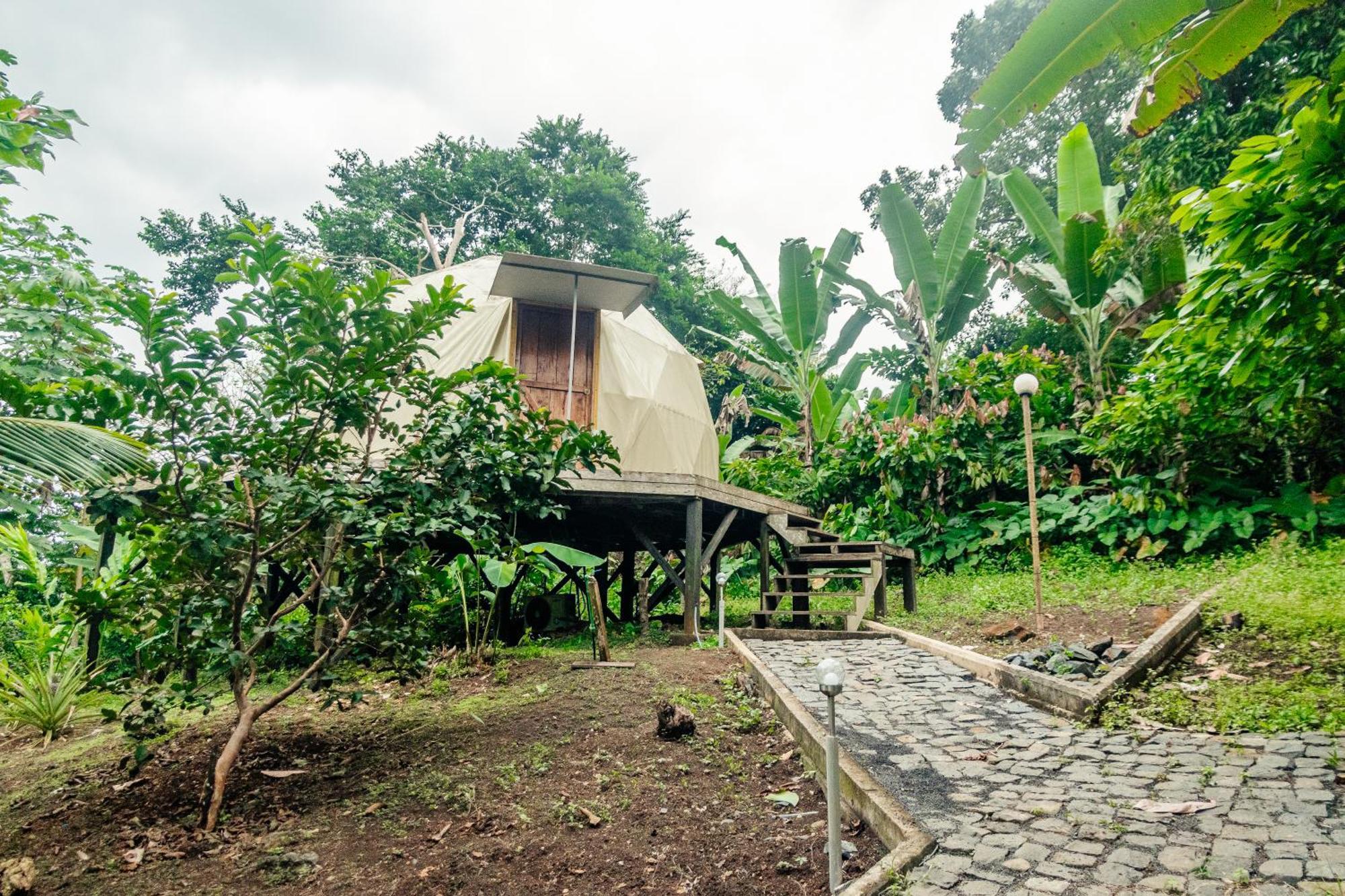 Eden Valley Ecolodge And Farming Madalena Екстер'єр фото